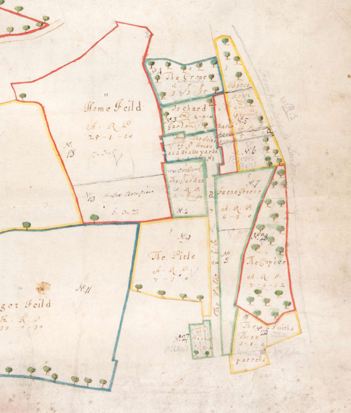 Plan of the Feenes House estate, 1689 ref. D/EZ214
