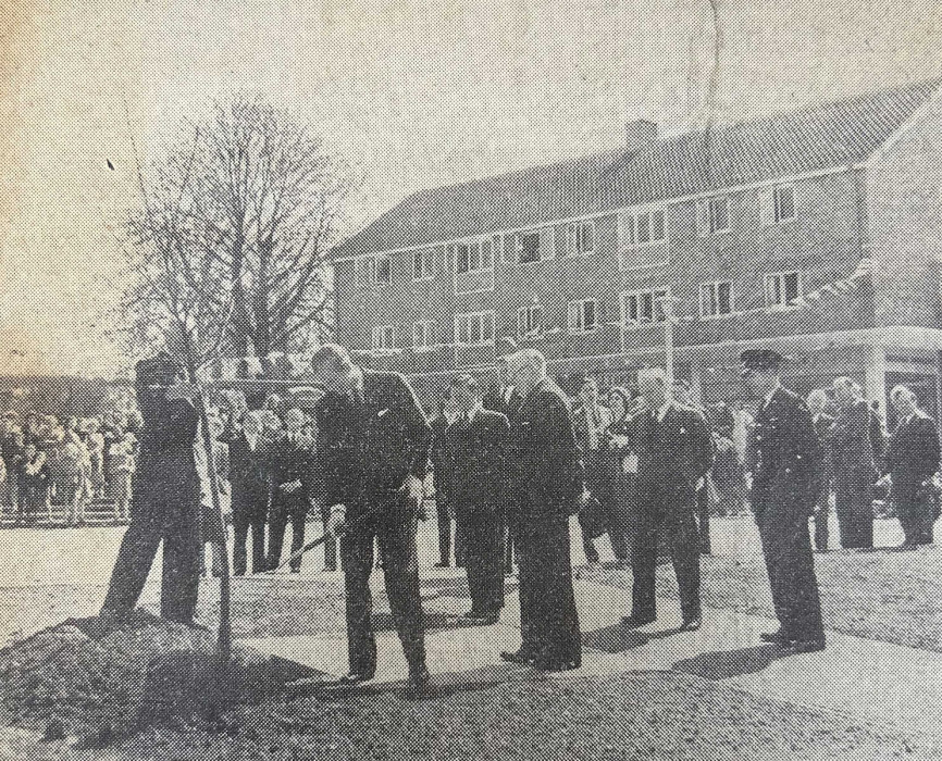 Prince Phillip plants a tree whilst onlookers stand around in Priestwood, Reading Standard 22nd April 1955 ref. NT/B/G26/1/4
